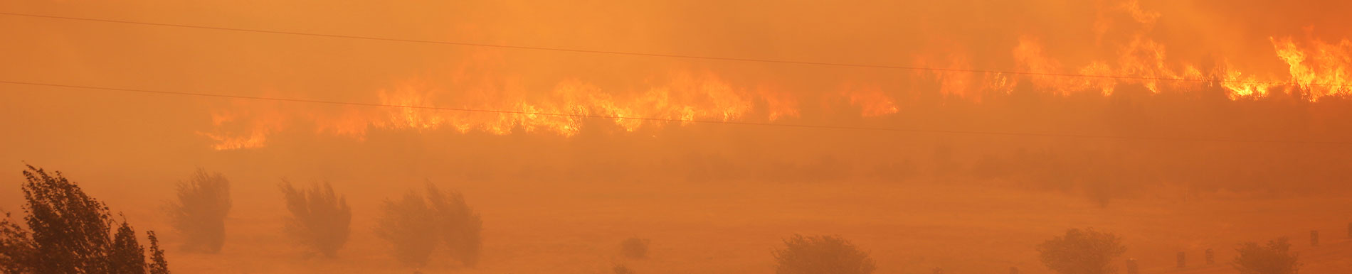 https://cribsandboxes.store/SiteCollectionImage-Homepage-Banners/wildfires-banner.jpg