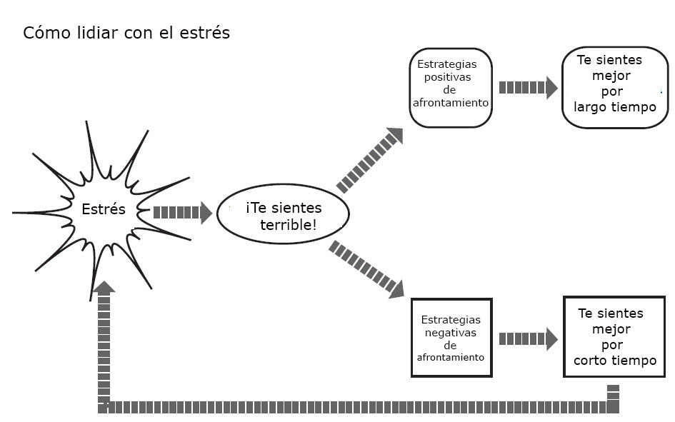 https://cribsandboxes.store/SiteCollectionImagesArticleImages/BR_Dealing_With_Stress_es.jpg
