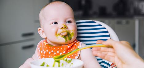 Starting Solid Foods