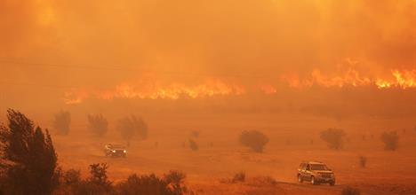 wildfire